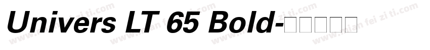 Univers LT 65 Bold字体转换